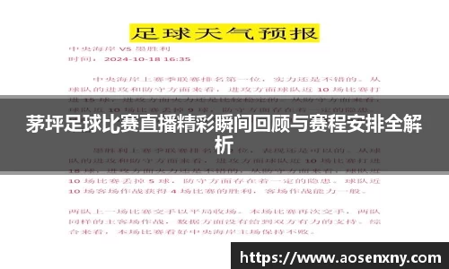 im电竞官网