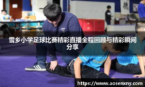 im电竞官网